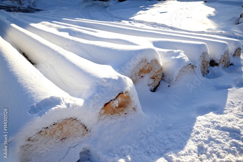 Obraz na płótnie trunks of felled trees lying in a row and covered with snow w salonie