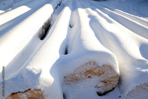 Obraz na płótnie trunks of felled trees lying in a row and covered with snow w salonie