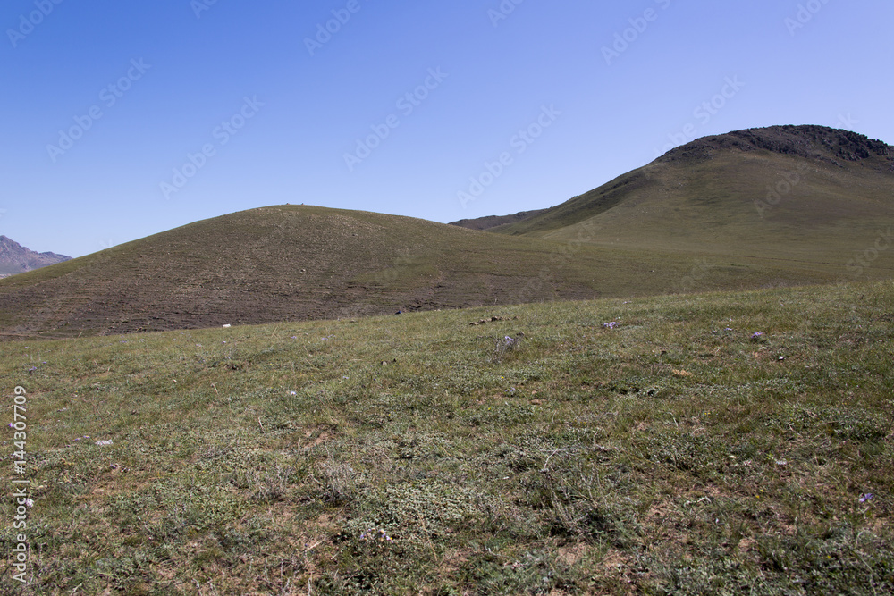 Fototapeta premium Gorchi-Tereldsch-Nationalpark - Mongolei