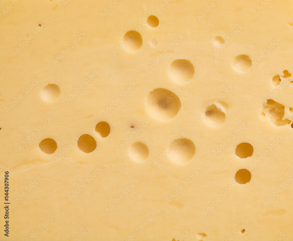 cheese background cheese background