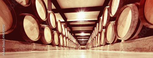 Tela wooden barrels in  wine factory