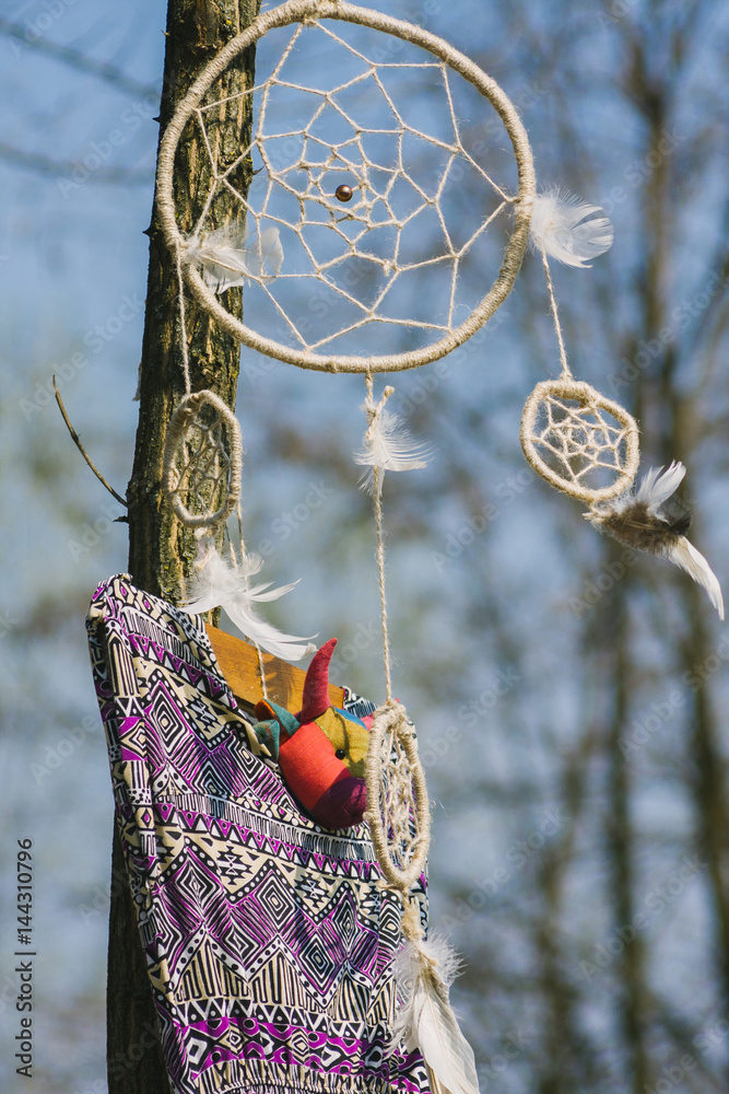 On the tree hanging dreamcatcher and a woman's dress. Indie style.
