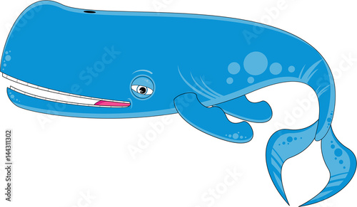 Cute Cartoon Whale