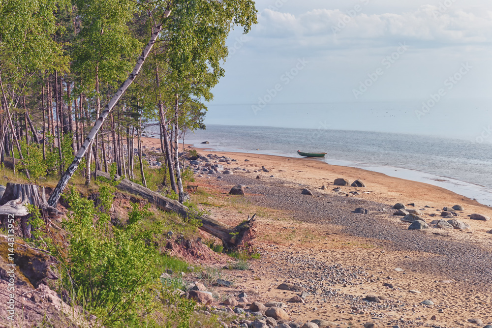 Wild beach of the Baltic sea in spring