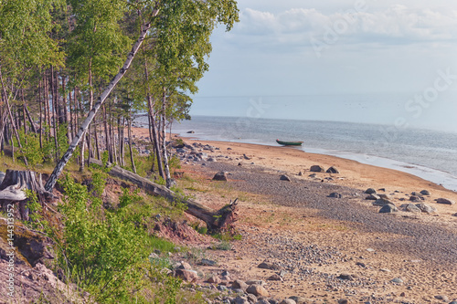 Fototapeta Naklejka Na Ścianę i Meble -  Wild beach of the Baltic sea in spring
