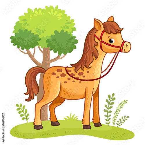 Cartoon horse standing in a meadow next to a tree. Vector illustration with cartoon animals.