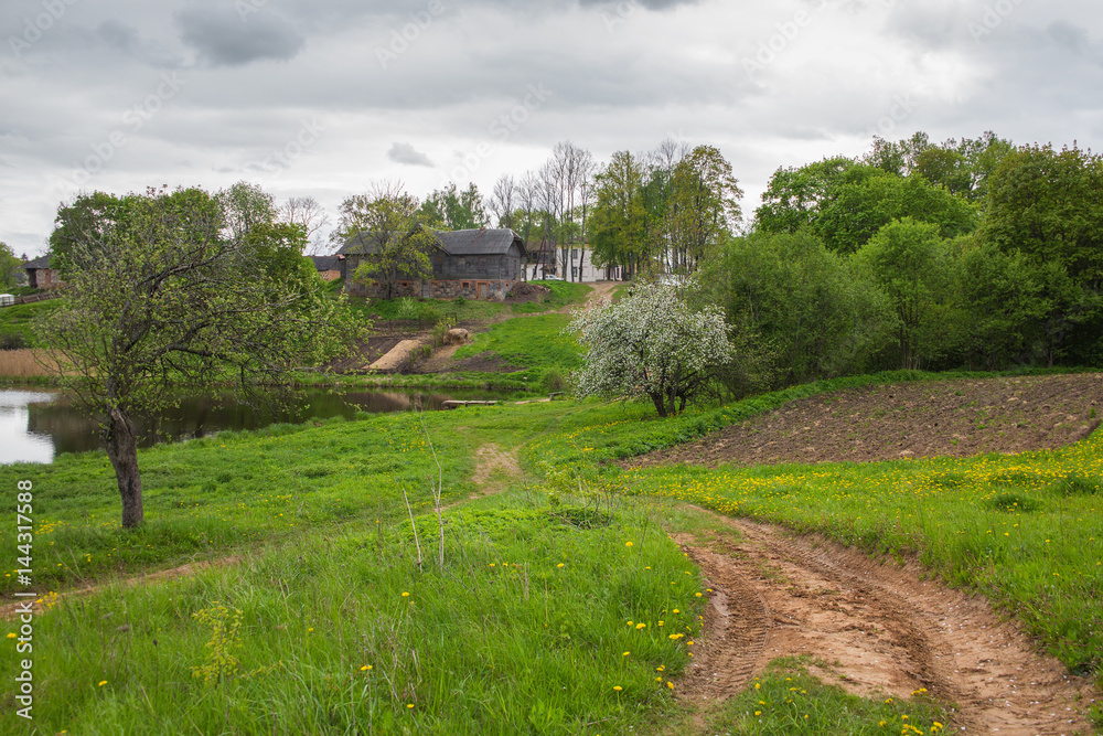 Spring rural landscape during the flowering of Apple trees and dandelions. On the mountain stands a large wooden house, the house is a road through the blossoming garden, near the lake.