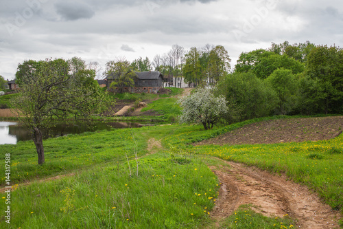 Spring rural landscape during the flowering of Apple trees and dandelions. On the mountain stands a large wooden house, the house is a road through the blossoming garden, near the lake.