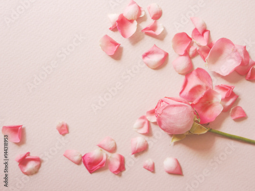 Rose and scattered petals on textured paper. Gentle romantic background.