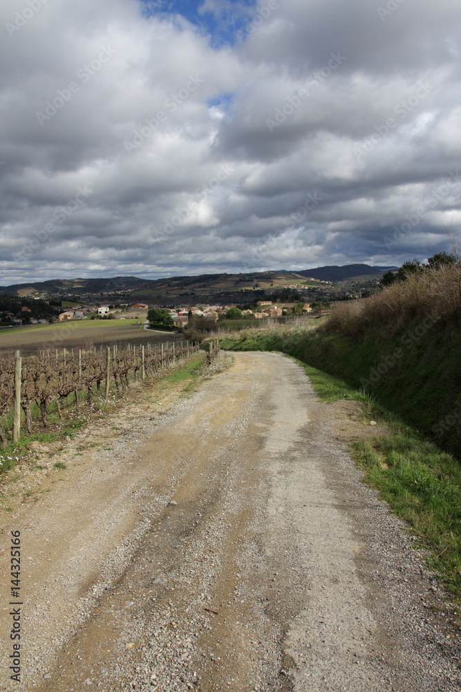 Chemin dans le vignoble Limouxin, Aude, Occitanie dans le sud de la France Chemin dans le vignoble Limouxin, Aude, Occitanie dans le sud de la France