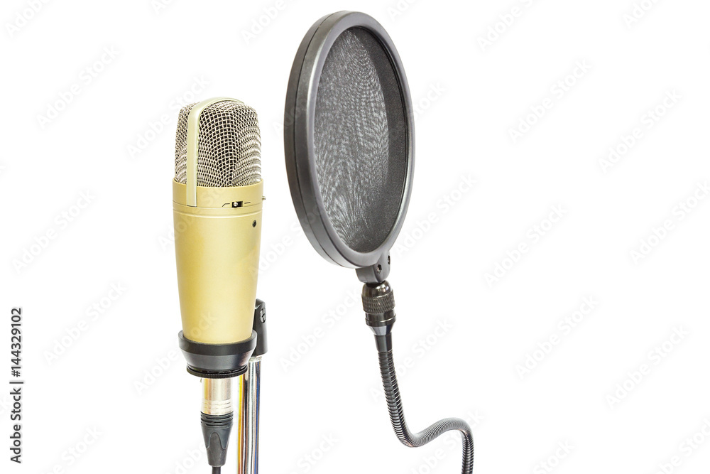 Fototapeta premium Professional condenser microphone with pop filter