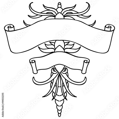 Double bandeau aile