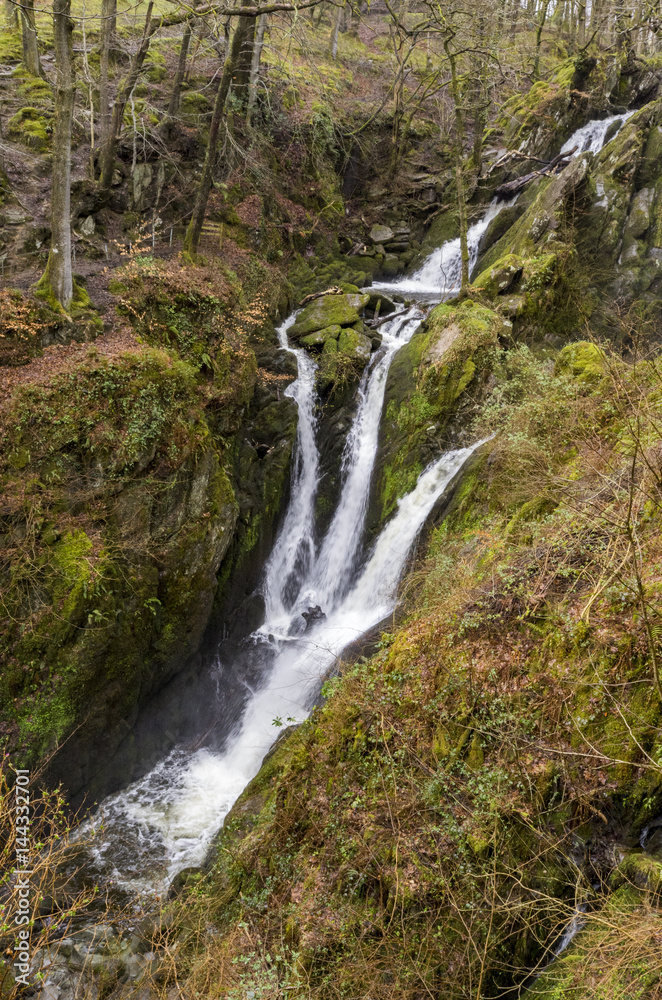 Stock Ghyll Force, Ambleside, Cumbria, UK