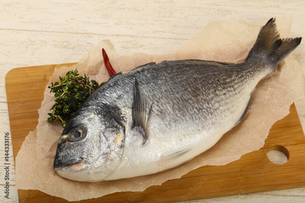 Fototapeta premium raw dorada fish