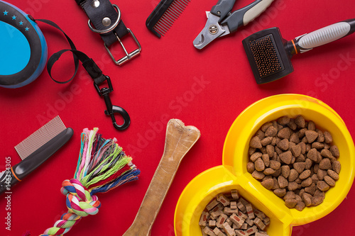 Pet accessories on red background. Top view