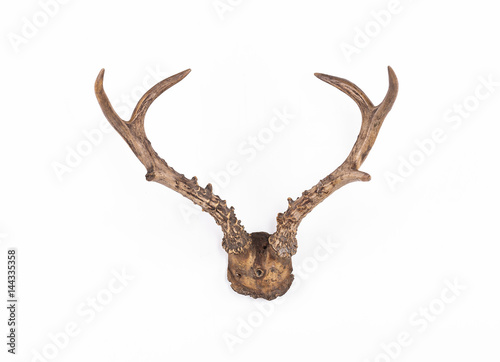 Reindeer antlers on white isolated background
