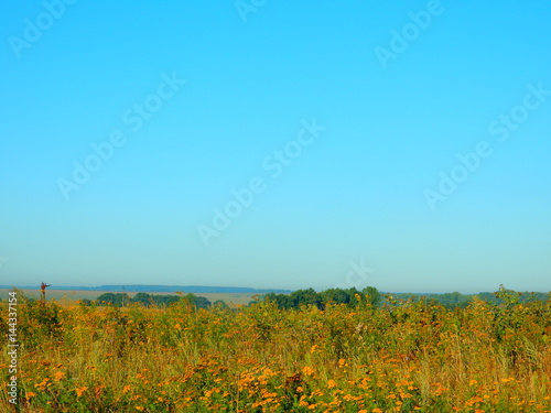 Blue sky