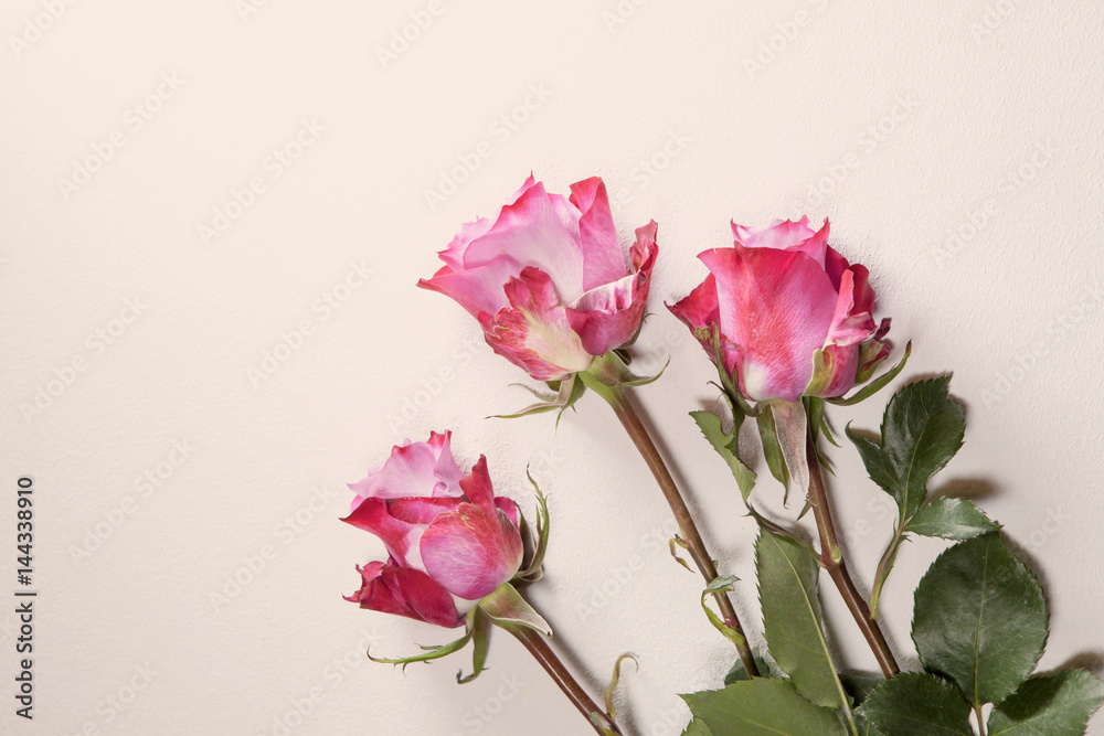 the Three red roses on a gray background