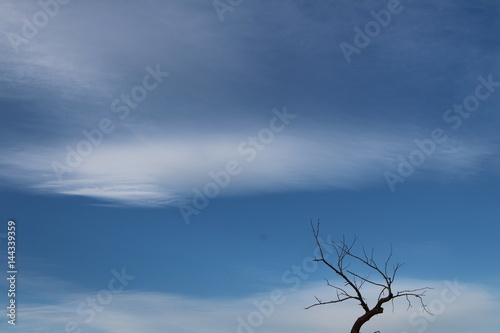 Blue Winter Sky