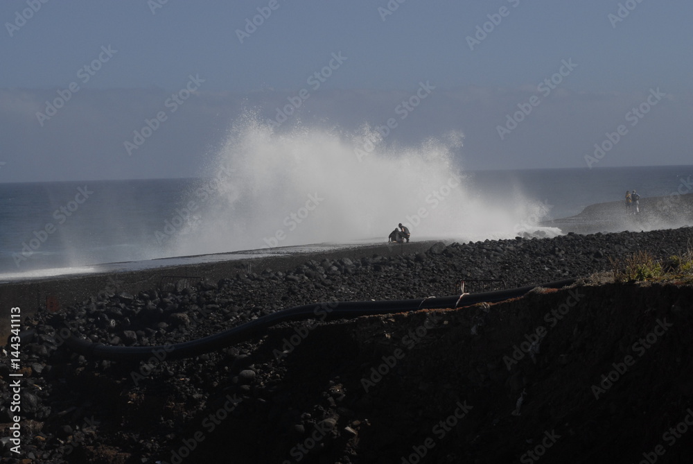 Teneriffa,Palmen,Meer,Blüten