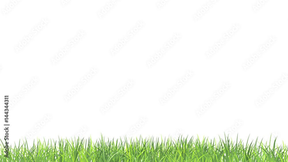 Grass border. Summer fresh green grass on white. Natural vector background Grass border. Summer fresh green grass on white. Natural vector background