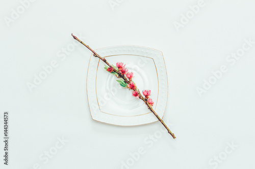 Flowering branch of a peach with pink flowers on a white saucer on a white background close-up, top view