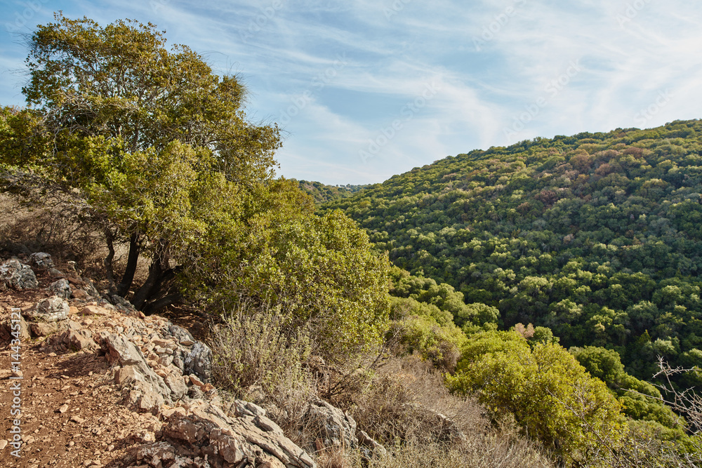 North Israel aerial view - Galilee, Benias park North Israel aerial view - Galilee, Benias park