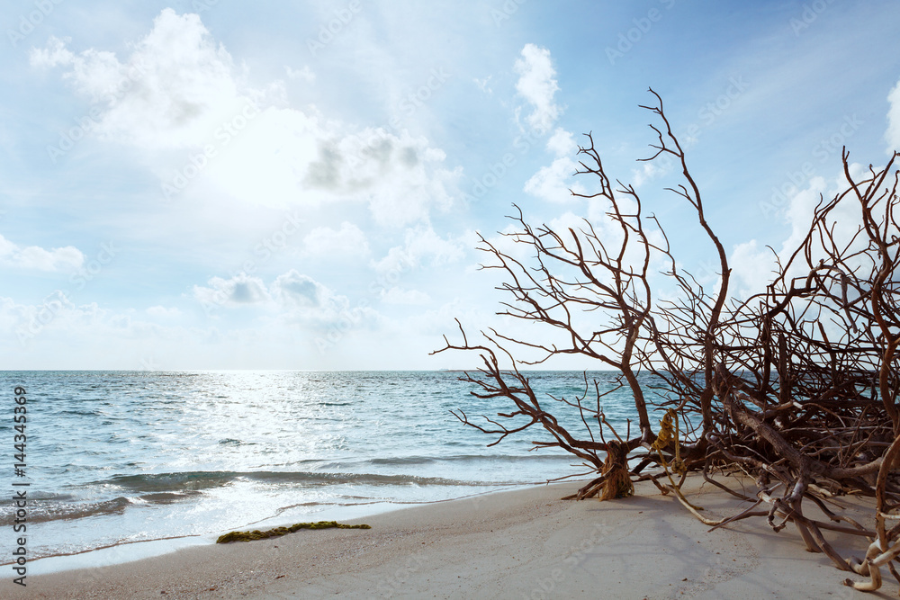 Abandoned Beach at Maldives island Fulhadhoo with white sandy beach and sea Abandoned Beach at Maldives island Fulhadhoo with white sandy beach and sea