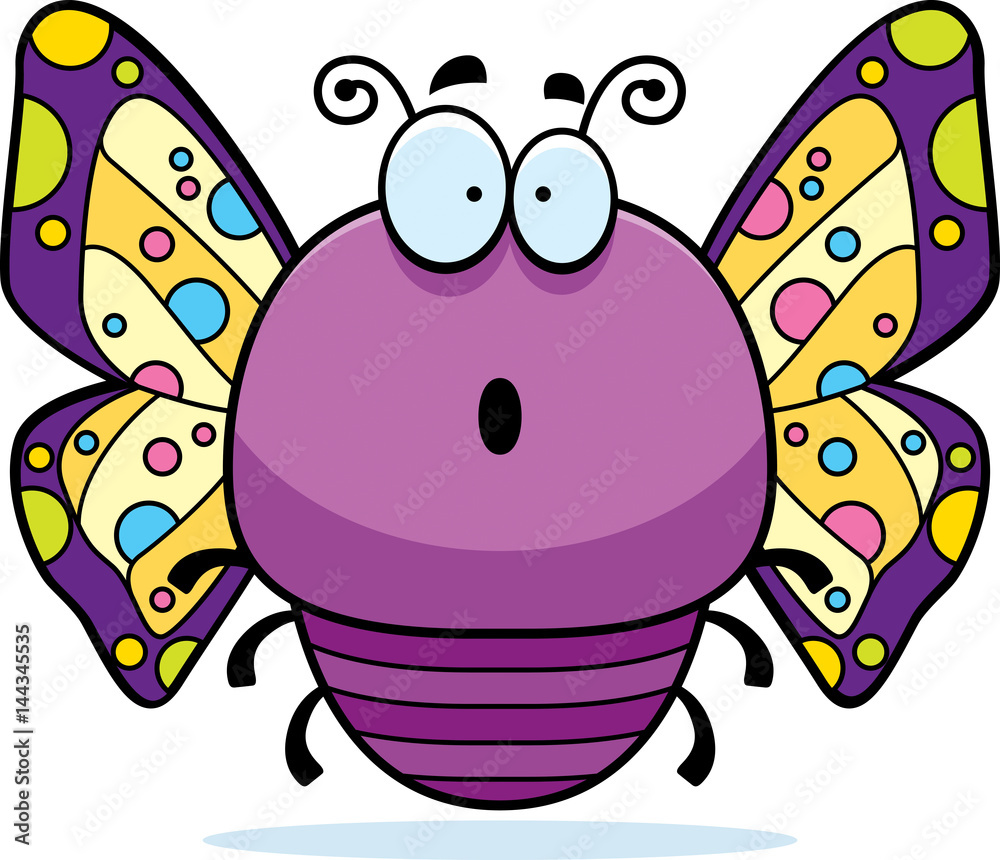 Obraz premium Surprised Little Butterfly