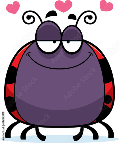 Little Ladybug in Love