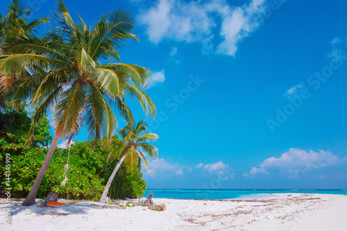 Beach at Maldives island Fulhadhoo with white sandy idyllic perfect beach and sea and curve palm