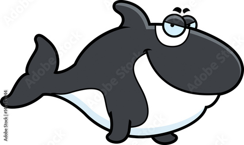 Sly Cartoon Killer Whale