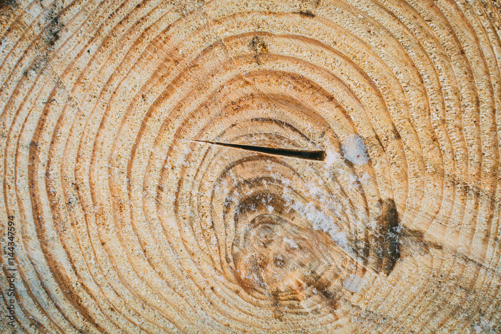 Fototapeta premium Wooden background