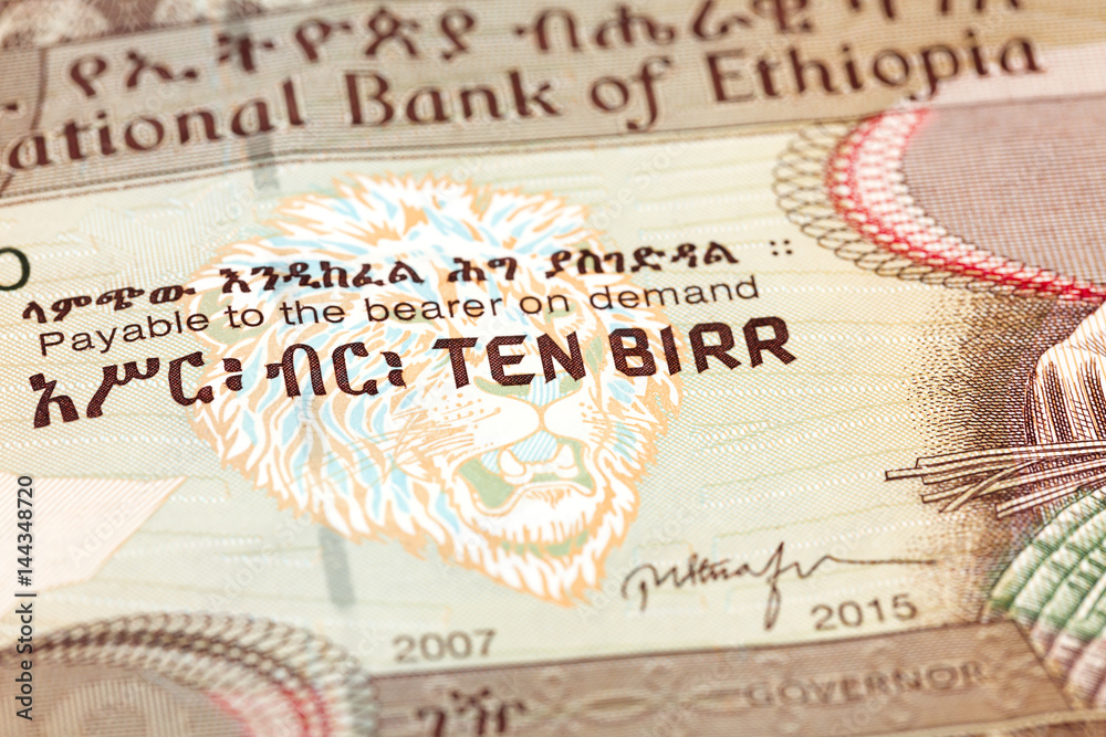 10 ethiopian birr note obverse detail