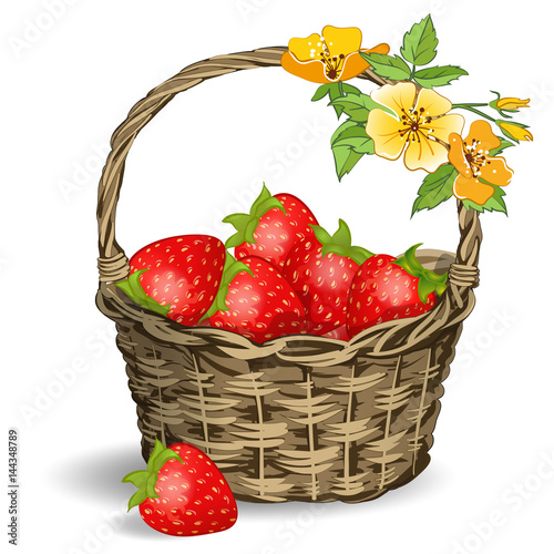 strawberries in the basket