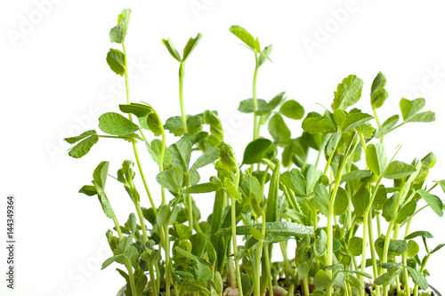 green peas sprouts