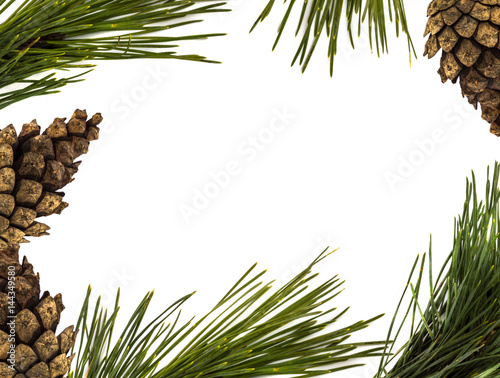 Pine Branch Border with Blank Space for Text