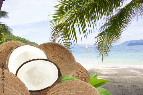 coconuts on sea background