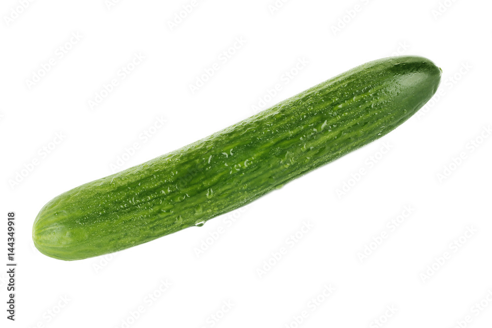 cucumber isolated cucumber isolated