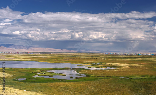 Fototapeta Naklejka Na Ścianę i Meble -  Chuya steppe plateau near village Kosh-Agach with yellow green grass and marsh lakes under a blue sky with white clouds on the background of mountain hills Altai, Siberia, Russia