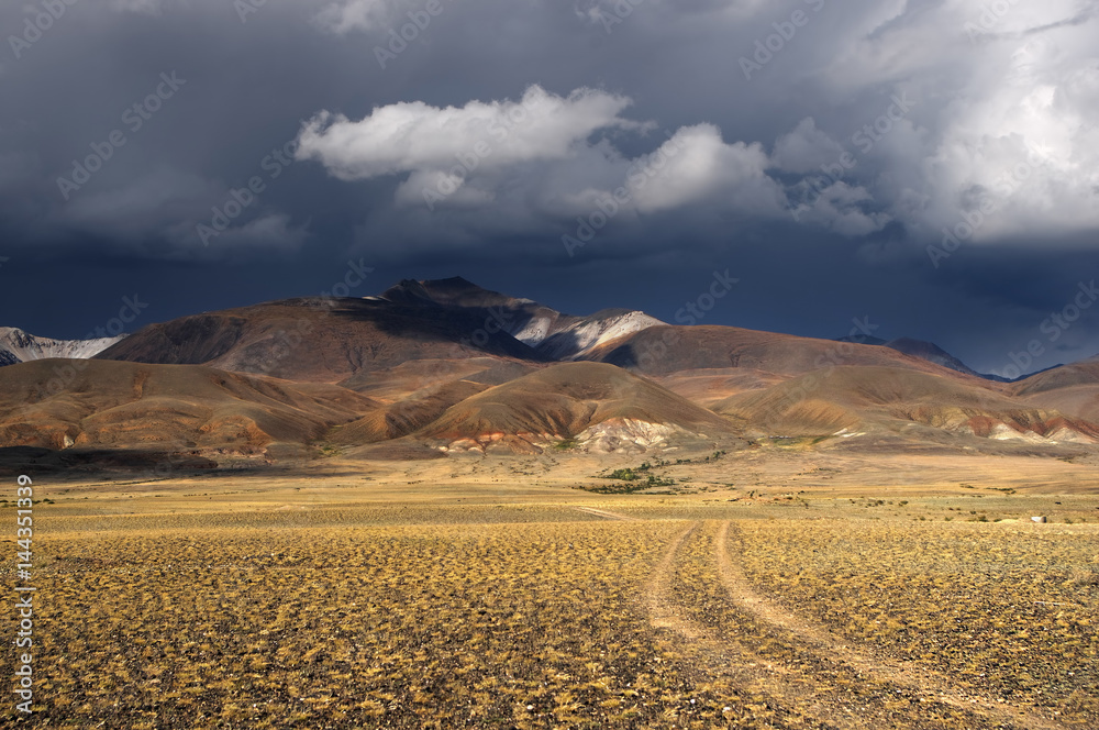 Road path on a desert wild mountain plateau orange yellow dry grass at the background of the high ranges under a blue sky white clouds, Kosh-Agach, Chuya steppe Altai, Siberia, Russia