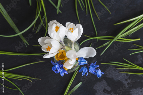 bouquet of different snowdrops on wet slate background top view photo