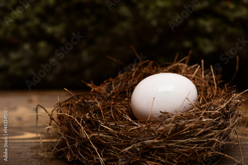 White egg inside small nest. Happy Easter concept