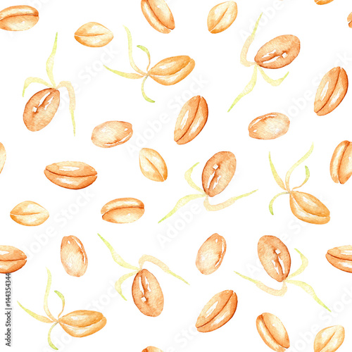 Seamless pattern with sprouted wheat grains hand drawn in watercolor on a white background