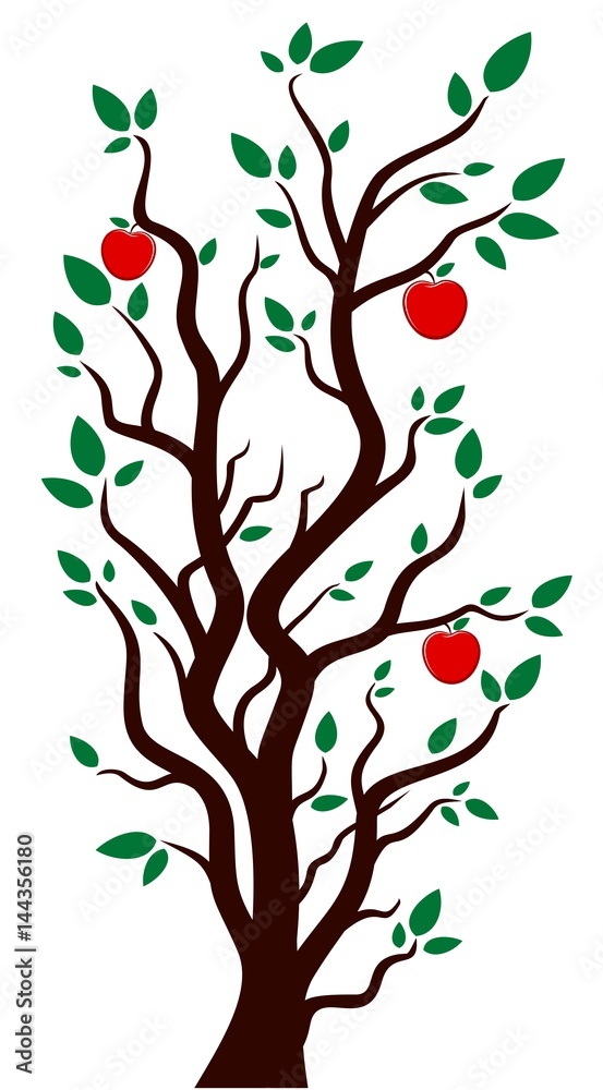 Tree with apples.