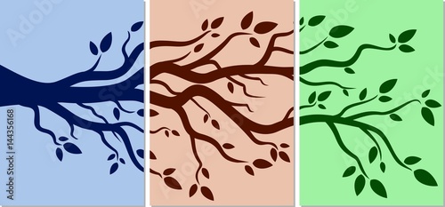 Tree branch.