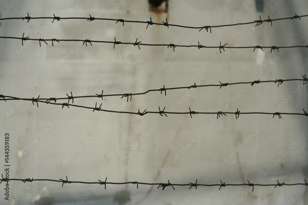 Barbed wire concrete wall. fence Barbed wire concrete wall. fence