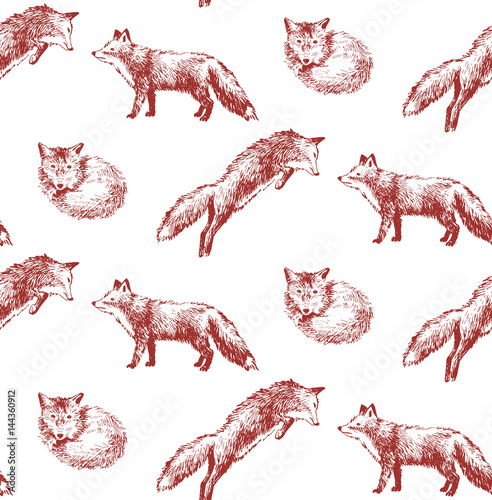 seamless pattern with hand drawn foxes