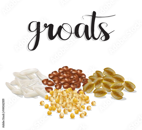 Groats. Rice, buckwheat, oatmeal, millet. Set color vector illustration.