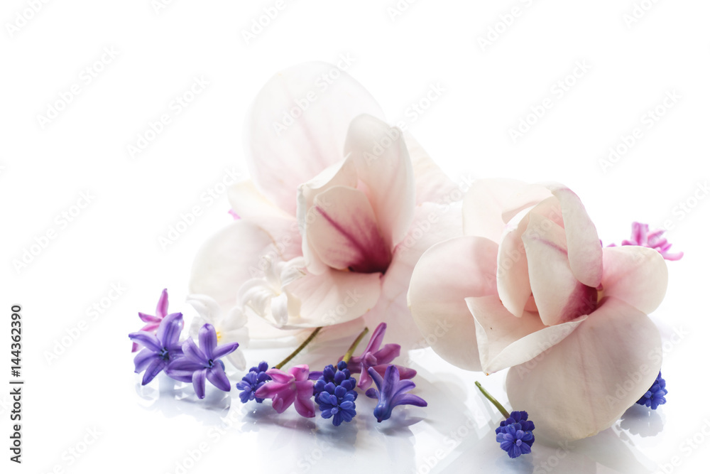 Set of spring flowers with magnolia